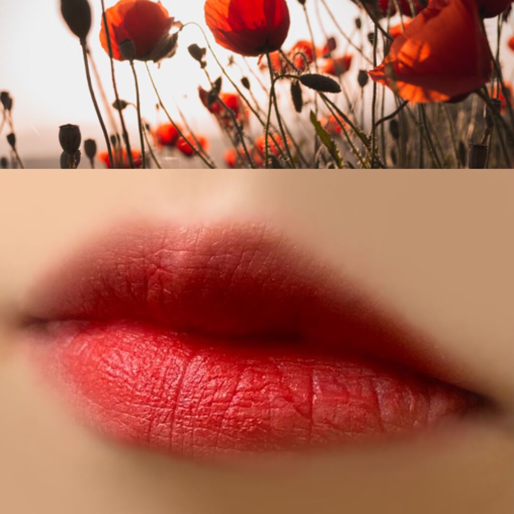 ゼロベルベットティント/rom&nd/リップティントを使ったクチコミ(4枚目)