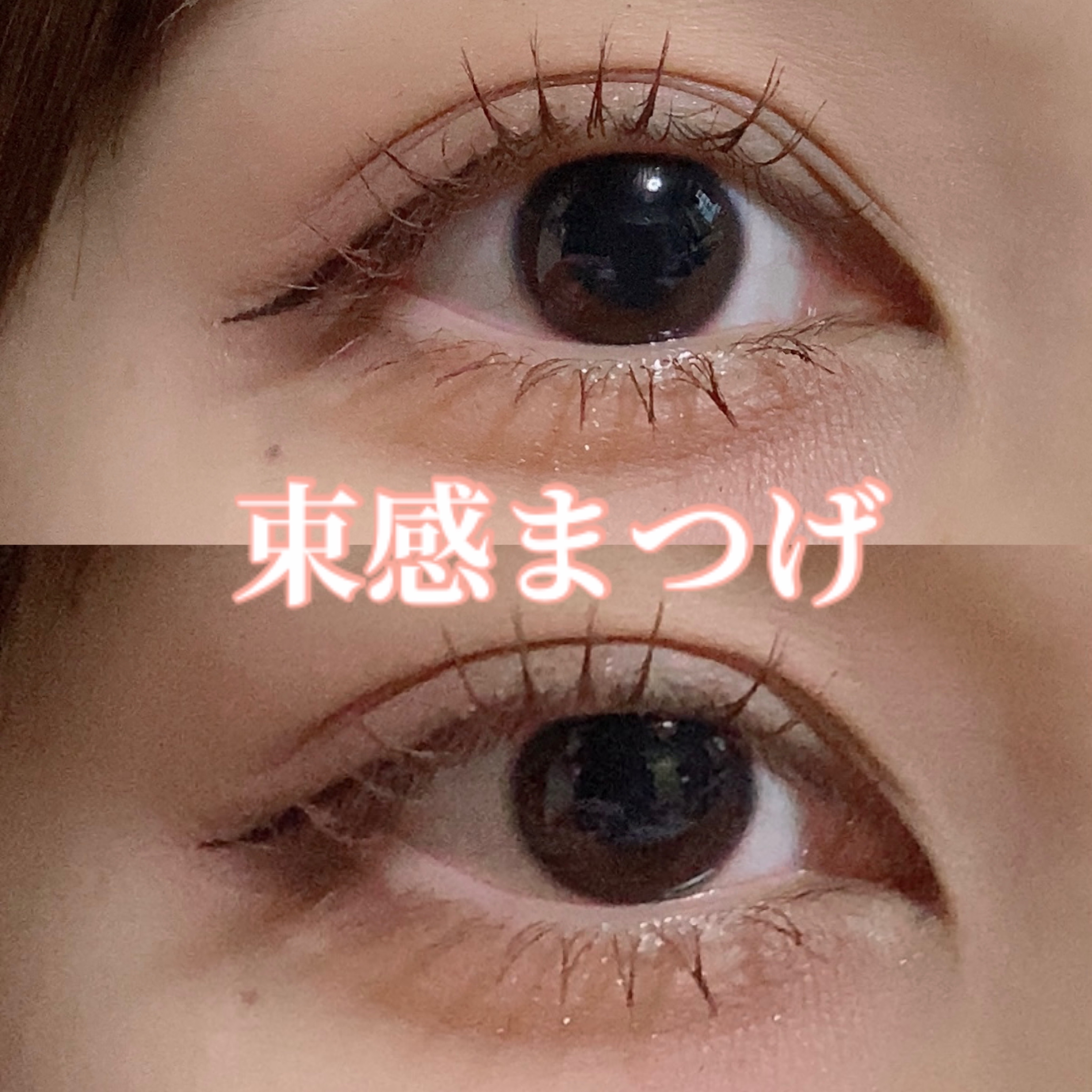 シルキースフレアイズ（マットタイプ）/キャンメイク/アイシャドウパレットを使ったクチコミ（1枚目）