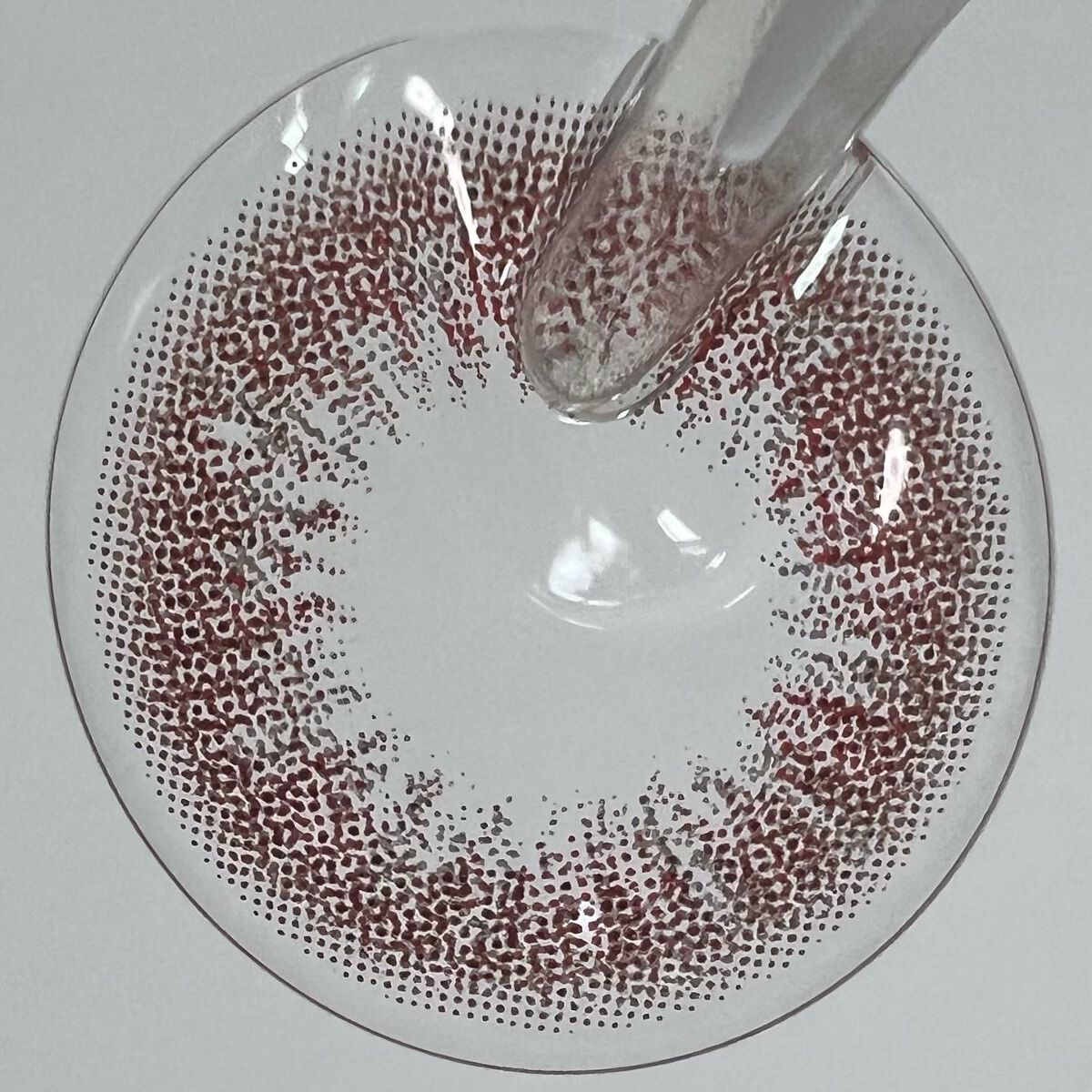 VNTUS 1day/VNTUS/ワンデー(1DAY)カラコンを使ったクチコミ(7枚目)