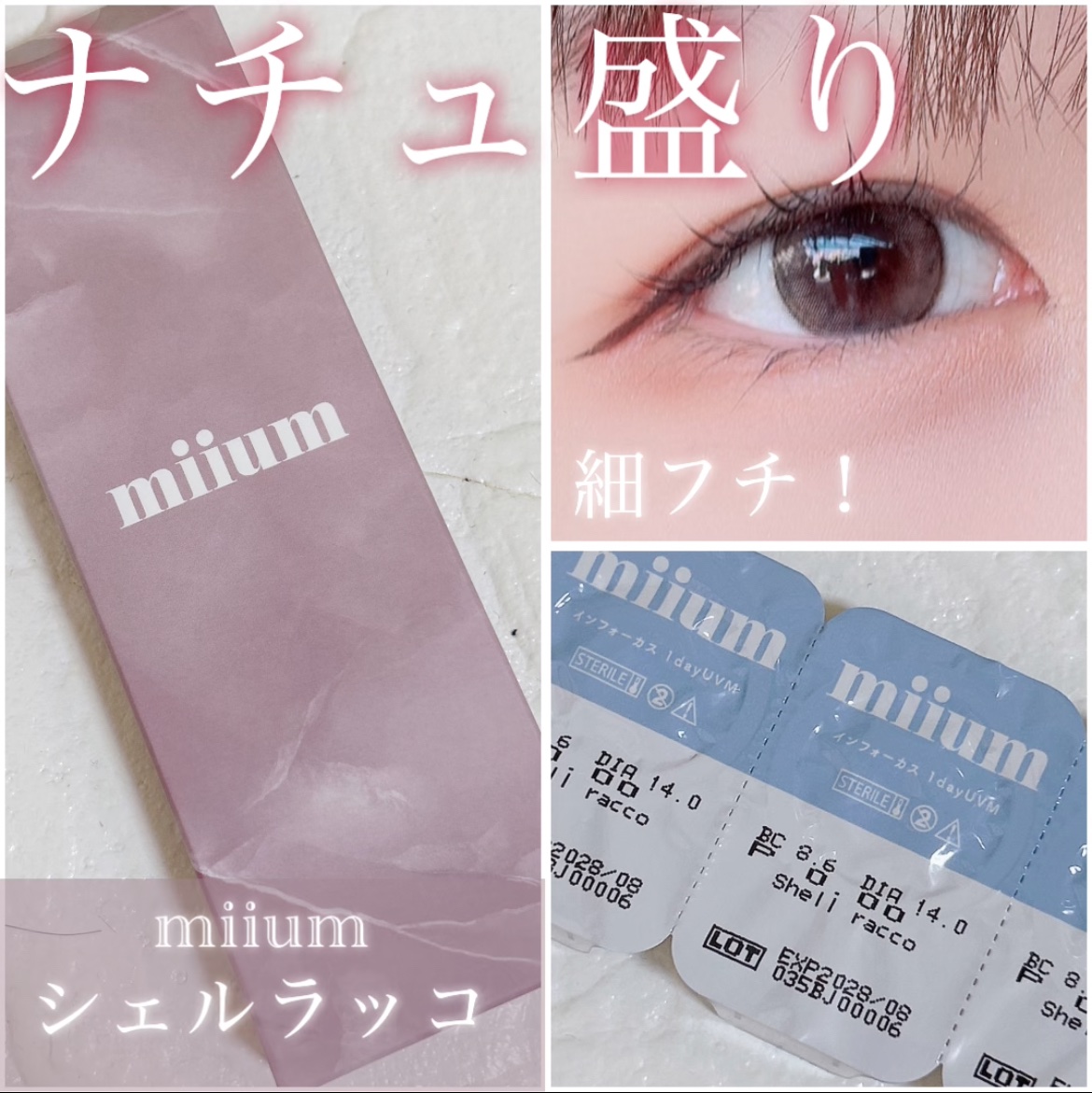 miium 1day シェルラッコ/miium/ワンデー（１DAY）カラコンを使ったクチコミ（1枚目）