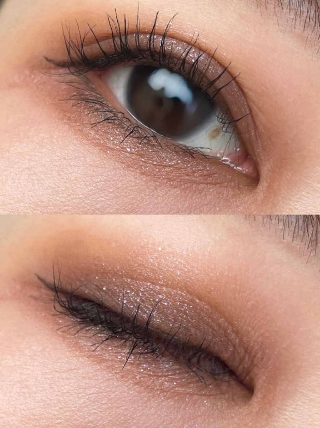 大英博物館 エジプトシリーズ アイシャドウパレット/ZEESEA/アイシャドウパレットを使ったクチコミ（1枚目）