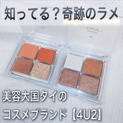 アイシャドウパレット/4U2/アイシャドウパレットを使ったクチコミ(1枚目)