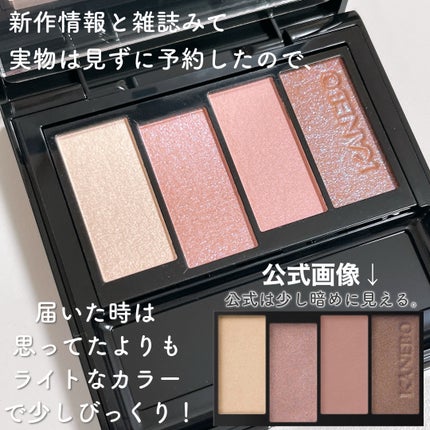 カラードシャドウ/KANEBO/アイシャドウパレットを使ったクチコミ(4枚目)