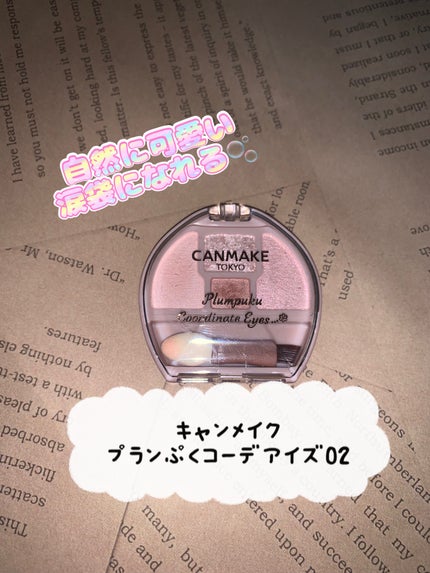 プランぷくコーデアイズ/キャンメイク/パウダーアイシャドウを使ったクチコミ(1枚目)