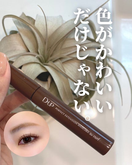パーフェクトエクステンション マスカラ for カール/D-UP/マスカラを使ったクチコミ(1枚目)