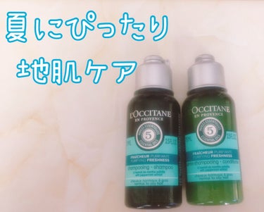 ファイブハーブス ピュアフレッシュネス シャンプー／コンディショナー/L'OCCITANE/シャンプー・コンディショナーを使ったクチコミ（2枚目）