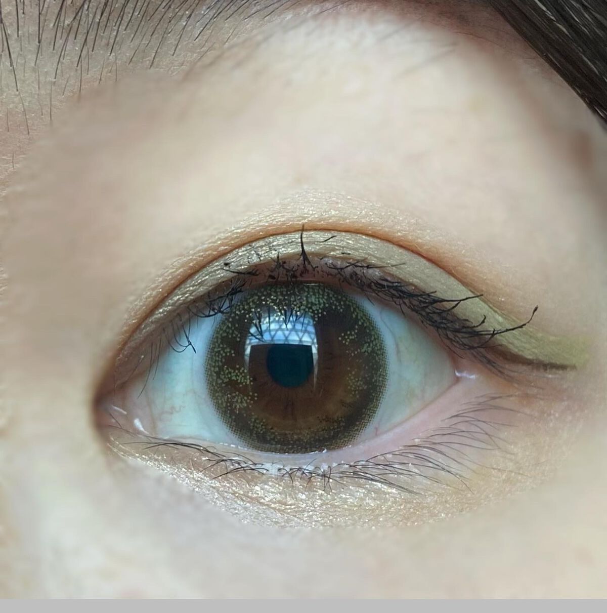 リアルクローズシャドウ CS05 ベージュムートン/excel/アイシャドウパレットを使ったクチコミ（3枚目）