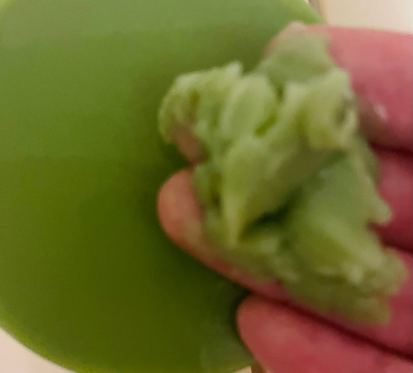 ワフードメイド 宇治抹茶クレンジングバーム/pdc/クレンジングバームを使ったクチコミ(3枚目)