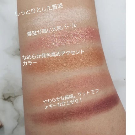 パノラマデザイン アイパレット/Visée/アイシャドウパレットを使ったクチコミ(3枚目)