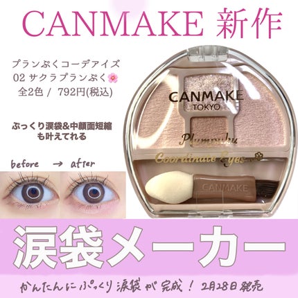 プランぷくコーデアイズ/キャンメイク/パウダーアイシャドウを使ったクチコミ(1枚目)