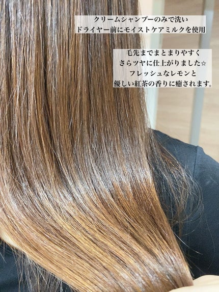 クリームシャンプー 450g(つけかえ用)/CORE BEAUTY/市販シャンプーの画像