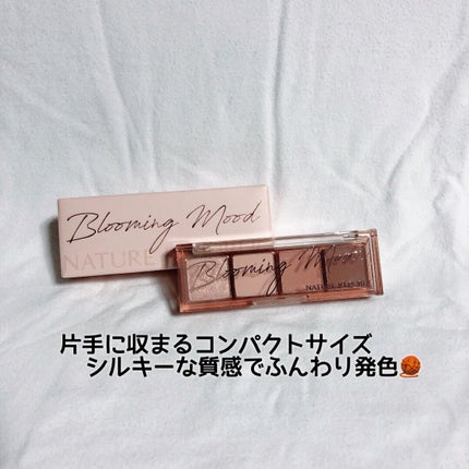 デイリーベーシックパレット/ネイチャーリパブリック/アイシャドウパレットを使ったクチコミ(1枚目)