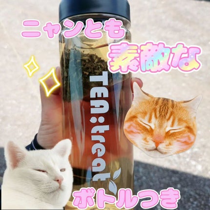 ヨウティー/TEA:Treat/ドリンクを使ったクチコミ(1枚目)