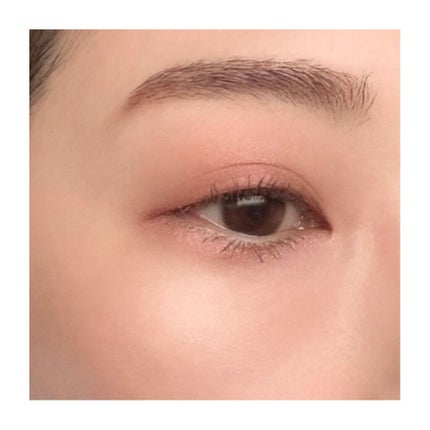 ヴォランタリーベイシス アイパレット/Celvoke/アイシャドウパレットを使ったクチコミ(4枚目)