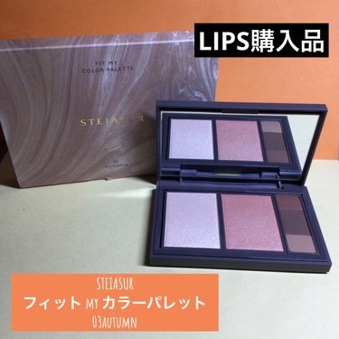 LIPS購入品

STEIASUR
フィット my カラーパレット
03autumn

今回はautumnを購入しました。

パソカに特化して作られたパレット
パソカは、winter/summerですが