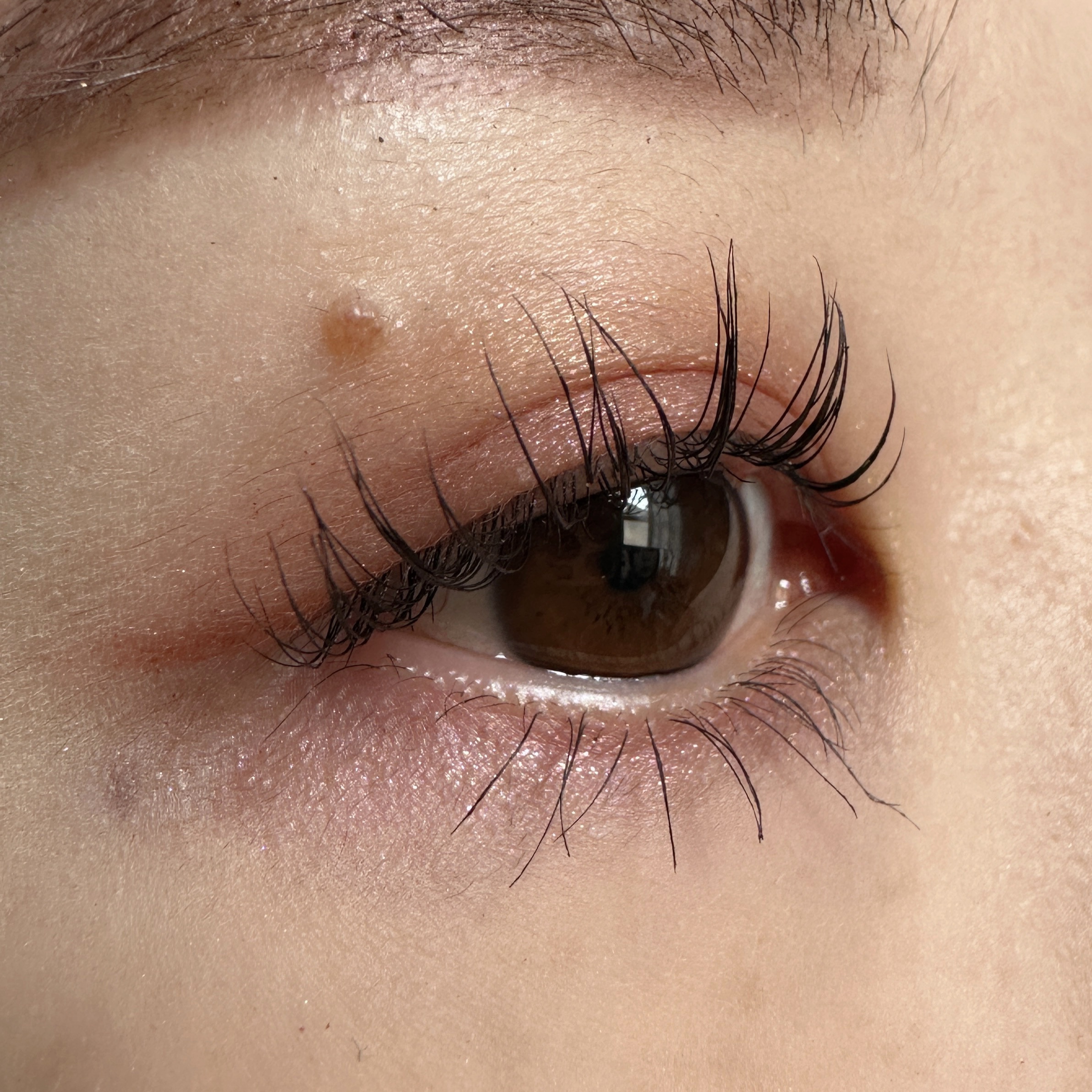 オンブルクルールクアドリ/クレ・ド・ポー ボーテ/アイシャドウパレットを使ったクチコミ（2枚目）