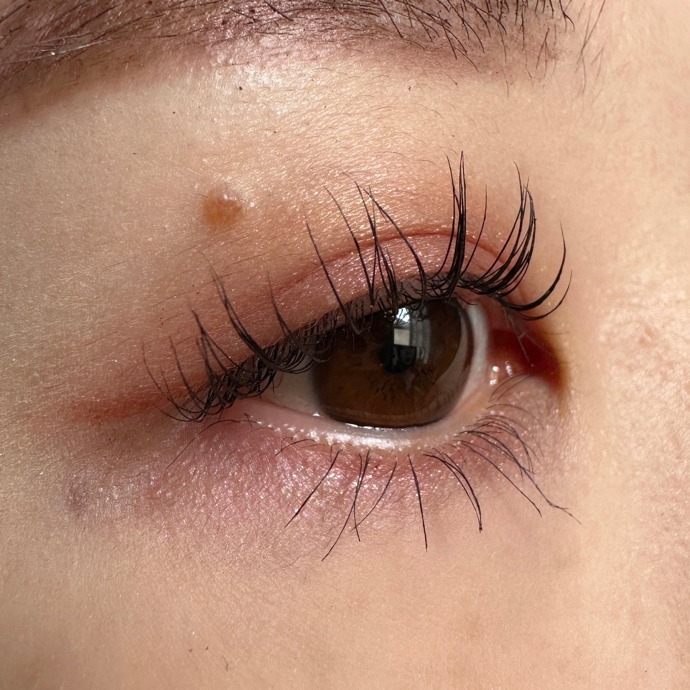 パーフェクトエクステンション マスカラ for カール/D-UP/マスカラを使ったクチコミ(2枚目)