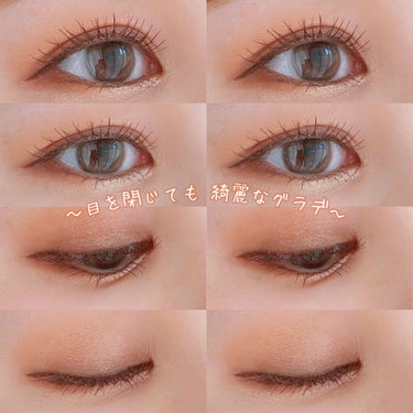 The Bella collection eyeshadow palette/CELEFIT/アイシャドウパレットを使ったクチコミ（2枚目）