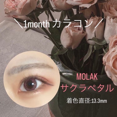 MOLAK サクラペタル 1month


着色直径13.3mm
DIA（レンズ直径）: 14.2mm
BC（ベースカーブ）: 8.6mm

写真だとピンク味強いけど実際はよく見ないと分からないくらい！
着色直径が小さめなのでちょっと雰囲気変えたい！って方にオススメです🤍

#MOLAK #カラコン #MOLAK 1month #サクラペタルの画像 その0