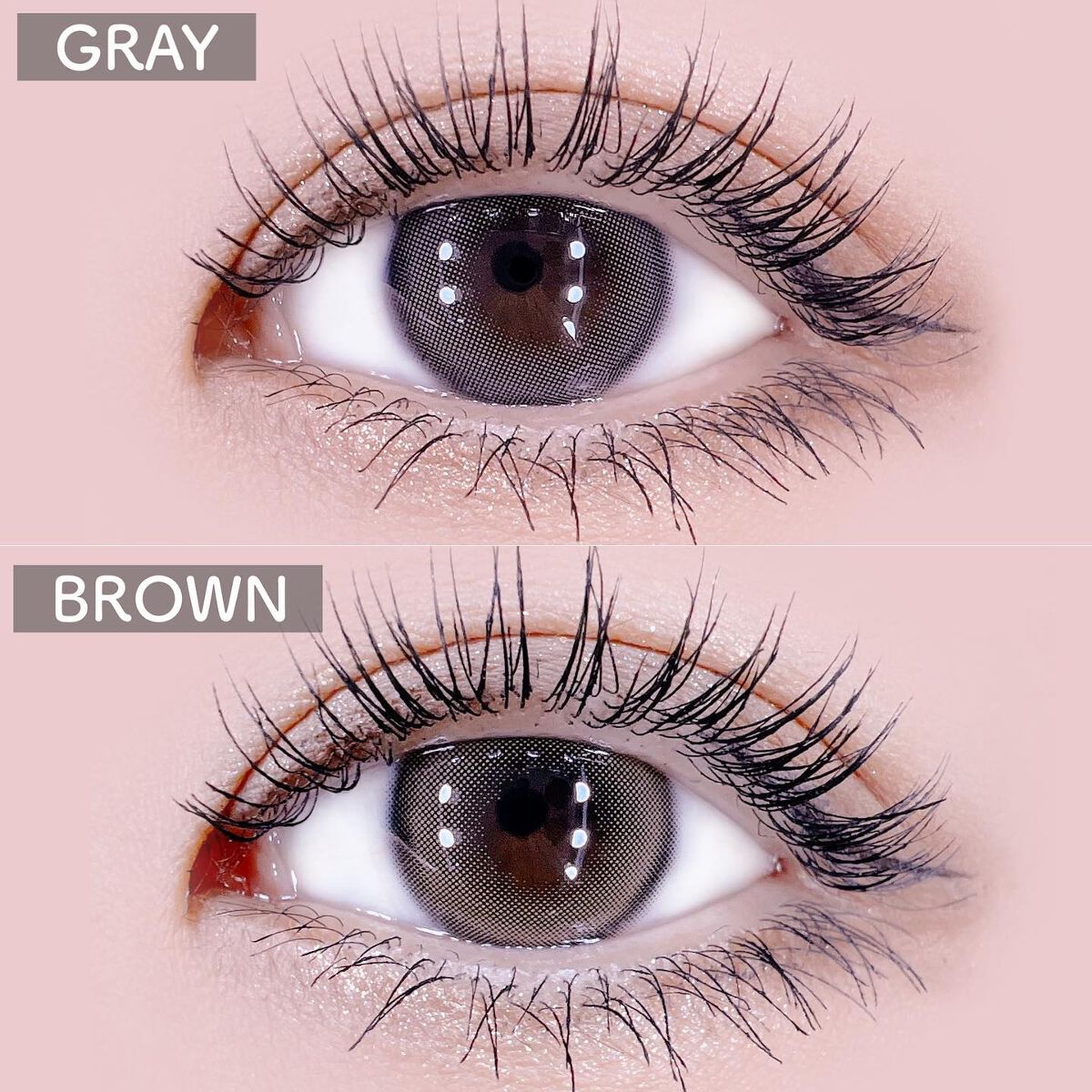 ARiel/i-sha/カラーコンタクトレンズを使ったクチコミ(3枚目)