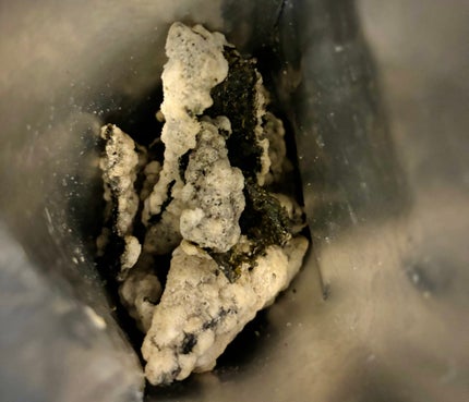 せーか on LIPS 「DelightprojectSoybeanMayoCrispy..」(2枚目)