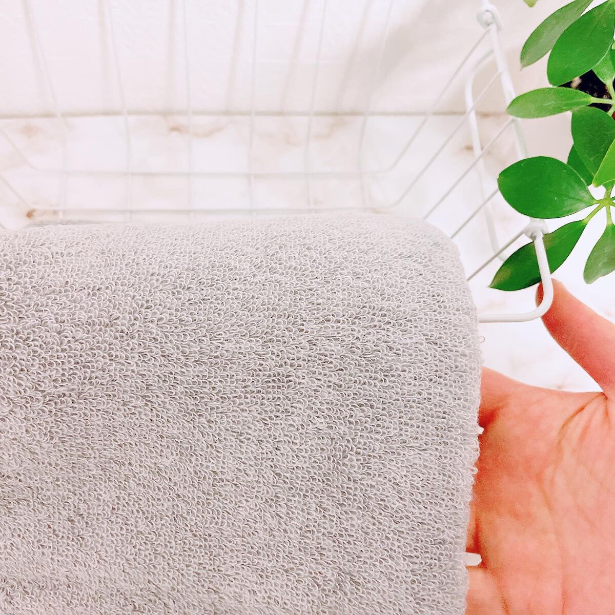 orange_glow_kwm on LIPS 「今治産の空気のようなタオル✨セシールオリジナルだそうです✨繊維..」(2枚目)