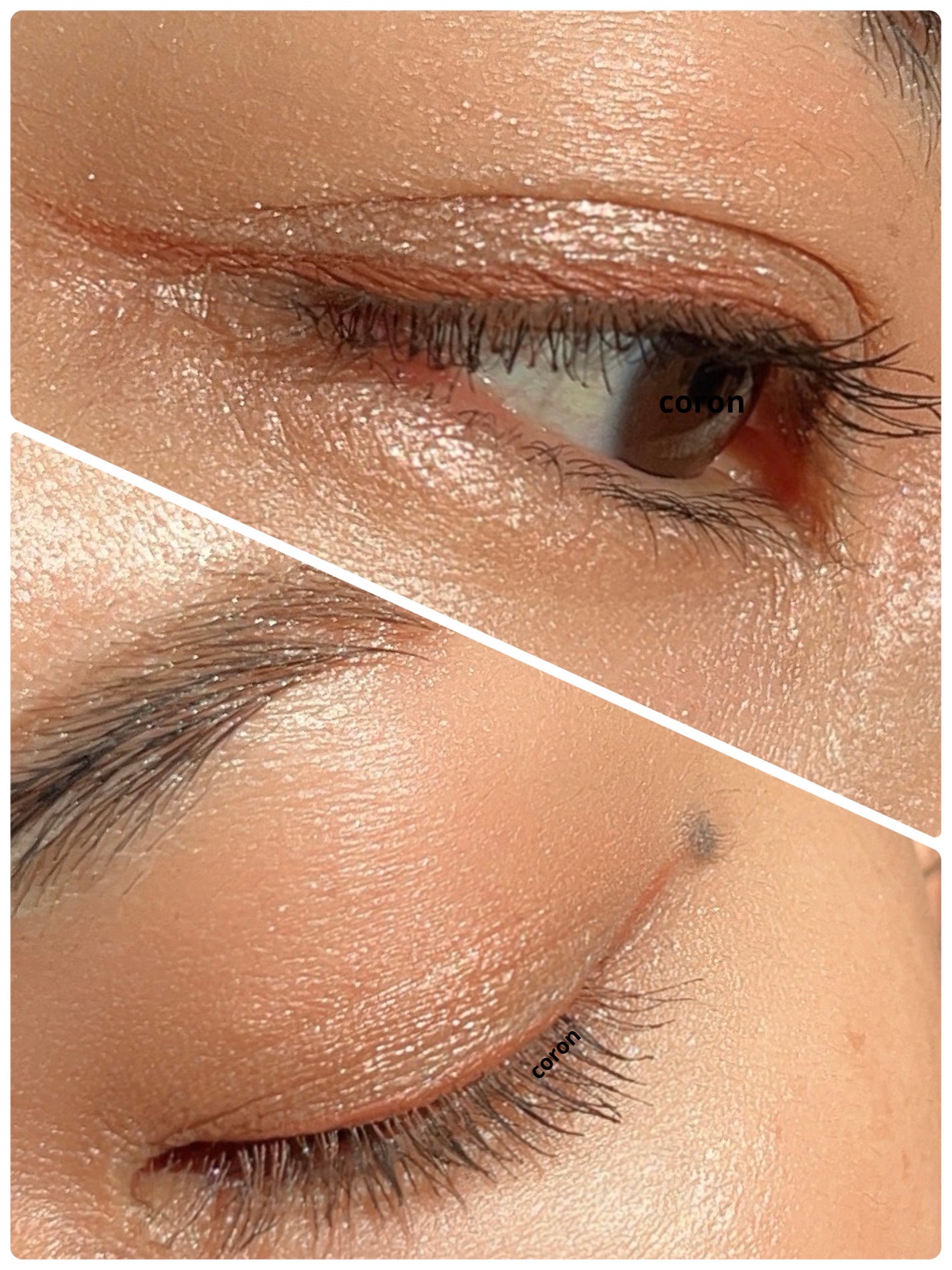 ãªã¥ã¯ã¹ã¢ã€ã·ã£ããŠ/BOBBI BROWN/åè²ã¢ã€ã·ã£ããŠã䜿ã£ãã¯ãã³ãïŒ2æç®ïŒ