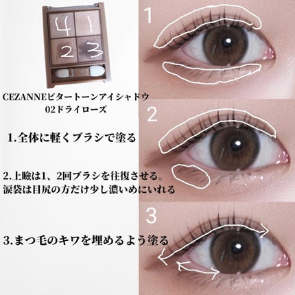 ビタートーンアイシャドウ/CEZANNE/パウダーアイシャドウを使ったクチコミ(2枚目)