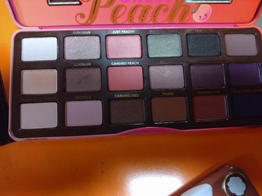 ボーン ディス ウェイ ザ ナチュラル ヌード アイシャドウ パレット/Too Faced/パウダーアイシャドウを使ったクチコミ（3枚目）