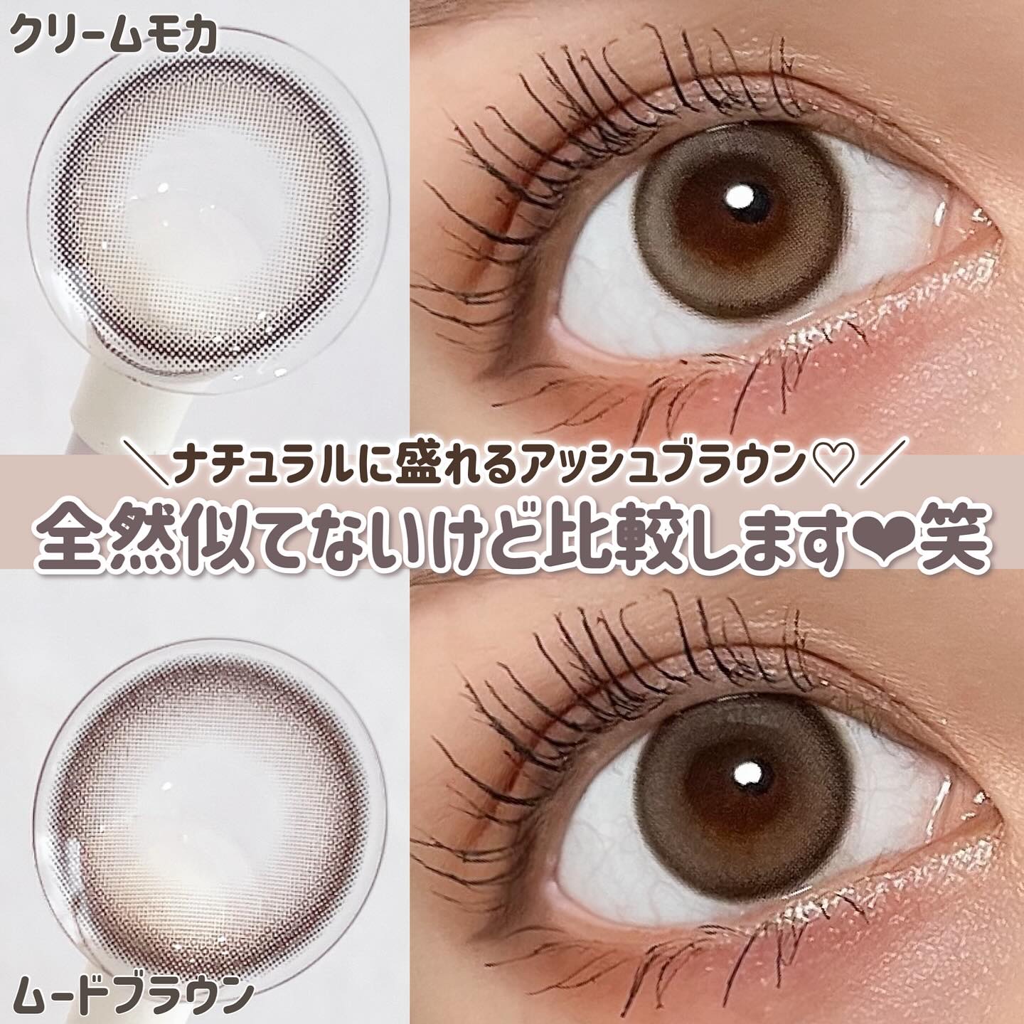 chuuLENS Milk&Tea 1day/chuu LENS/ワンデー（１DAY）カラコンを使ったクチコミ（1枚目）