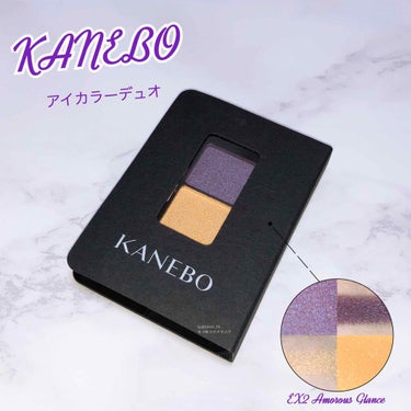カネボウ アイカラーデュオ EX2 Amorous Glance/KANEBO/アイシャドウパレットを使ったクチコミ（1枚目）