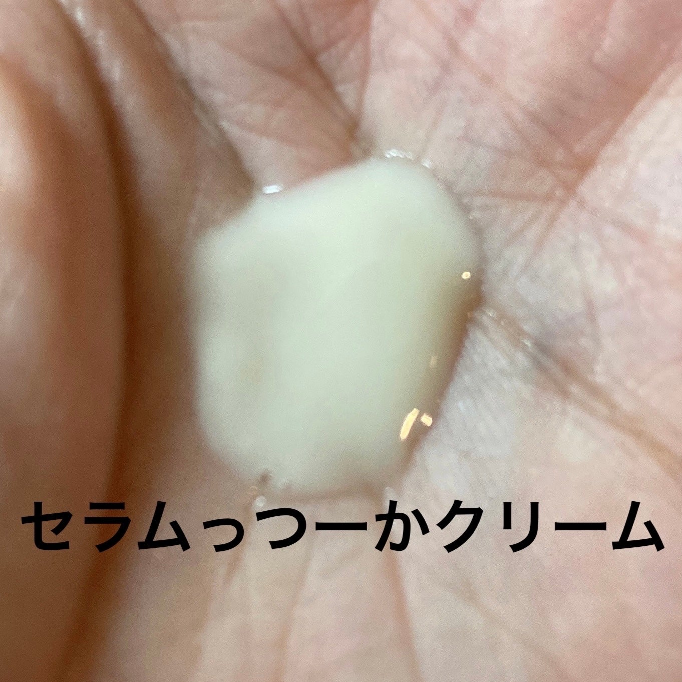 2番 高密度タンパク質クリームセラム/numbuzin/美容液を使ったクチコミ(2枚目)