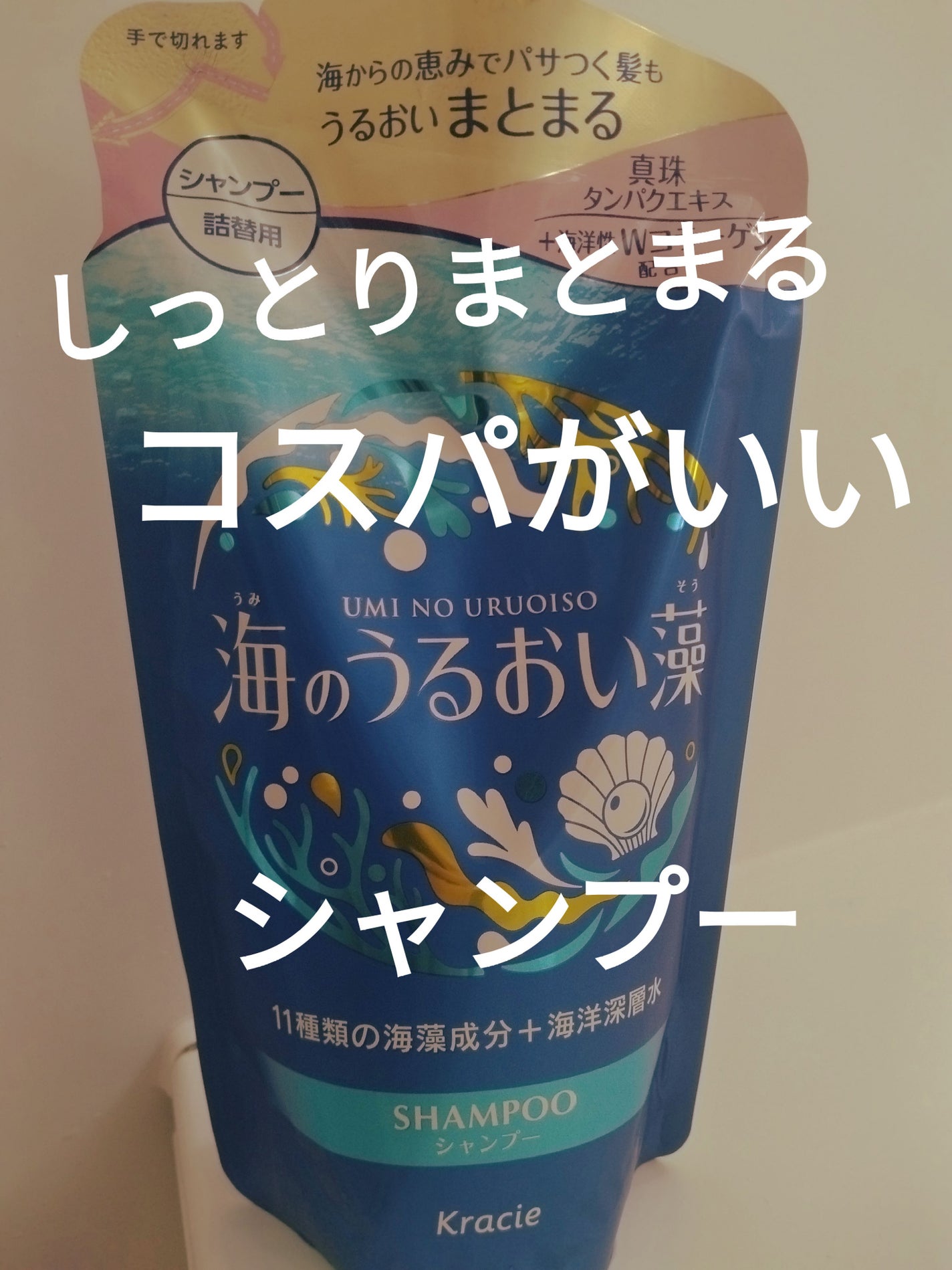 うるおいケアシャンプー/コンディショナー/海のうるおい藻/市販シャンプーを使ったクチコミ(1枚目)