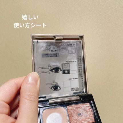 ドラマティックスタイリングアイズD BR613 トリュフチョコレート/マキアージュ/アイシャドウパレットを使ったクチコミ(2枚目)