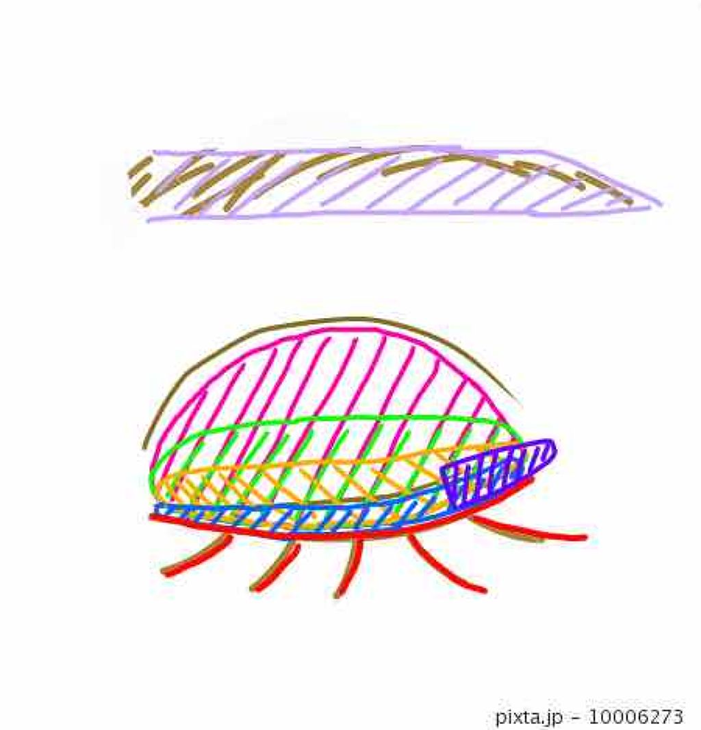 CCリップクリームN/KATE/リップケアを使ったクチコミ（3枚目）