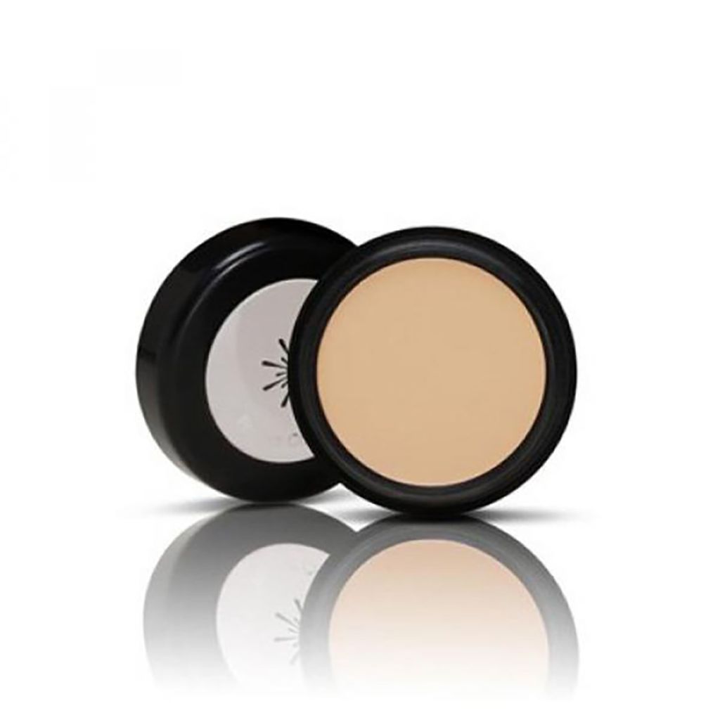 MISSHA パーフェクトコンシーラー