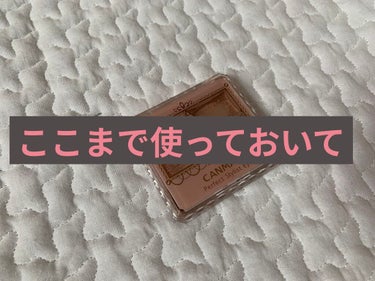 【旧品】パーフェクトスタイリストアイズ/キャンメイク/パウダーアイシャドウを使ったクチコミ（1枚目）