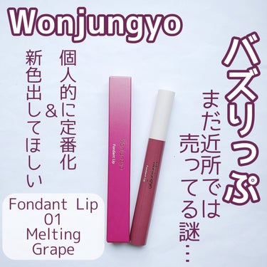 ウォンジョンヨ フォンダンリップ/Wonjungyo/口紅を使ったクチコミ（1枚目）