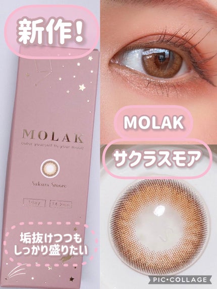 MOLAK 1day/MOLAK/ワンデー(1DAY)カラコンを使ったクチコミ(1枚目)