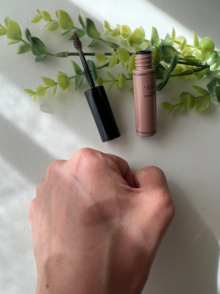 ヴィセ リシェ アイブロウパウダー/Visée/パウダーアイブロウを使ったクチコミ(6枚目)