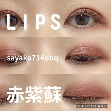 モイスチャー リッチ リップスティック/SUQQU/口紅を使ったクチコミ(3枚目)