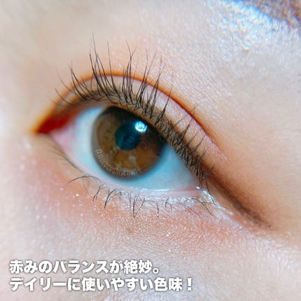プティパレットアイズ/キャンメイク/パウダーアイシャドウを使ったクチコミ(3枚目)