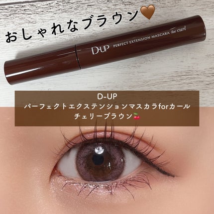 パーフェクトエクステンション マスカラ for カール/D-UP/マスカラを使ったクチコミ(1枚目)