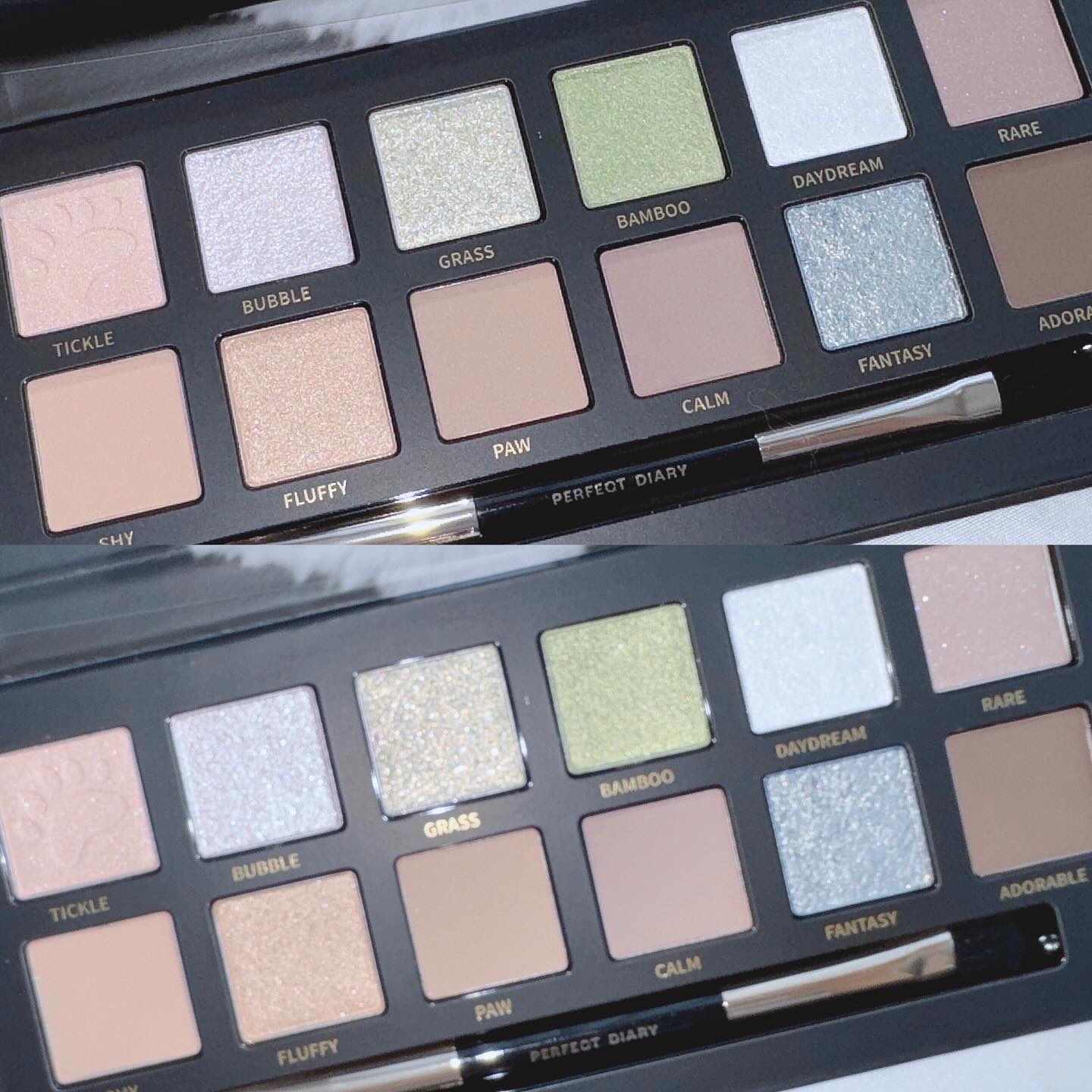 2024年夏新作アイシャドウパレット】エクスプローラ12色 動物アイ