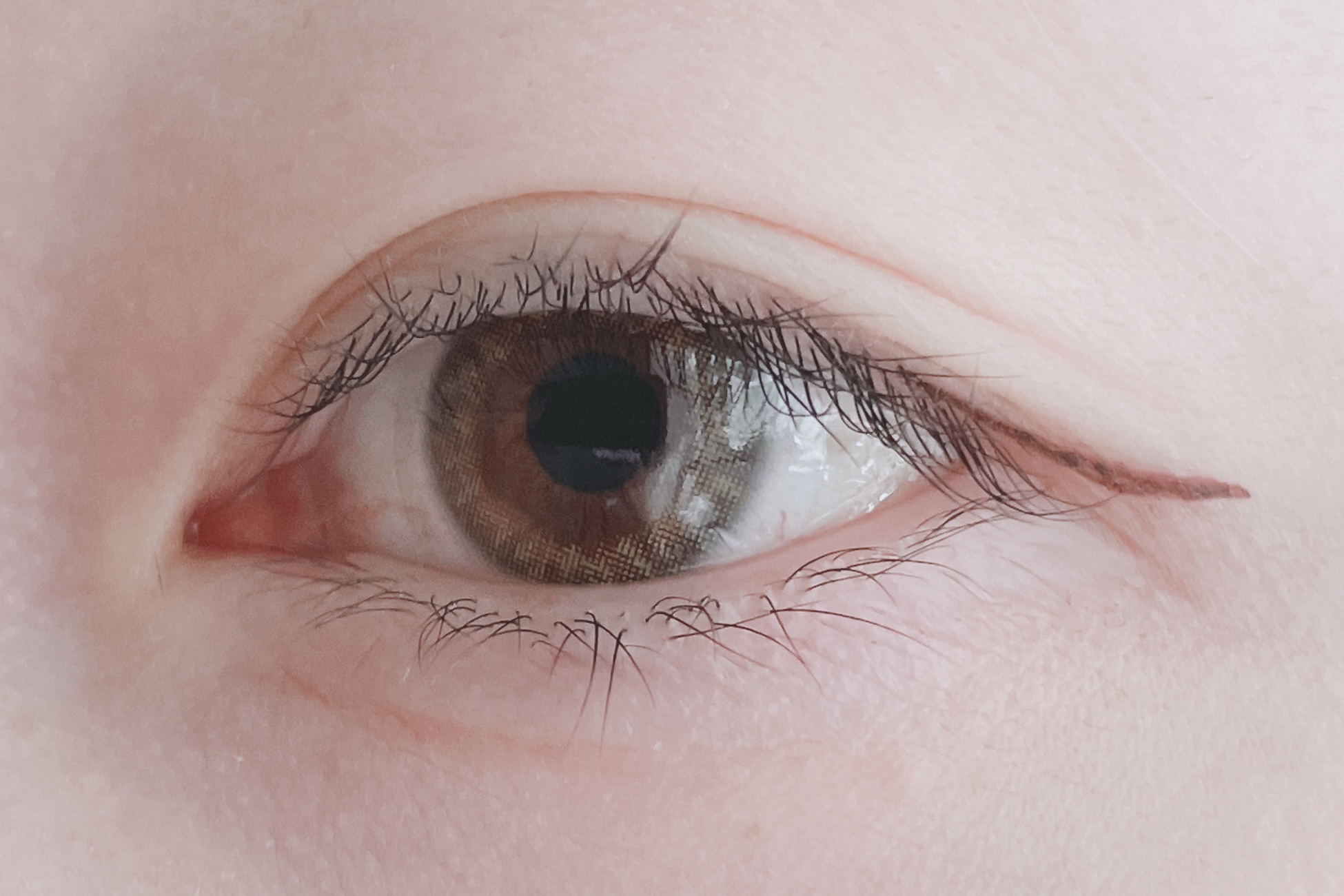 ミマ 1day/ミマ/カラーコンタクトレンズを使ったクチコミ（3枚目）