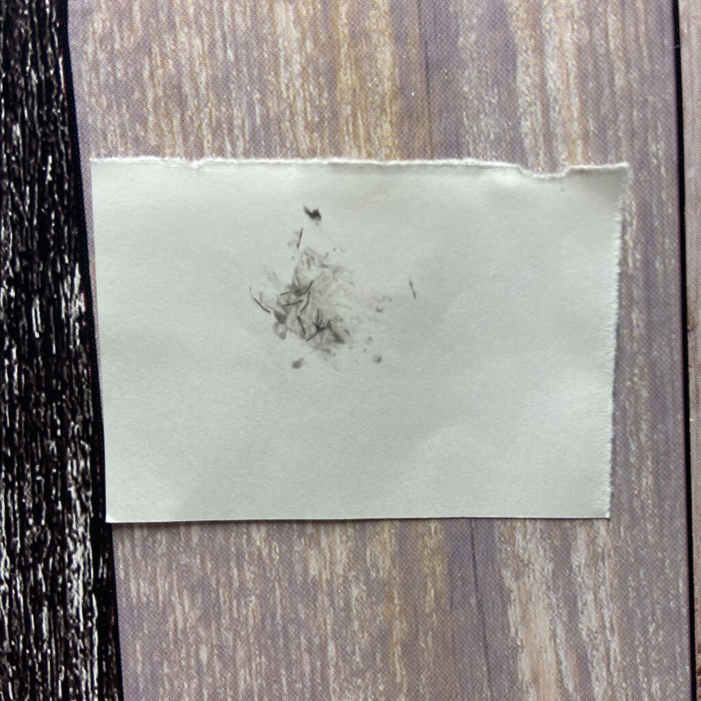 エテュセ アイエディション (マスカラベース)/ettusais/マスカラ下地を使ったクチコミ（3枚目）