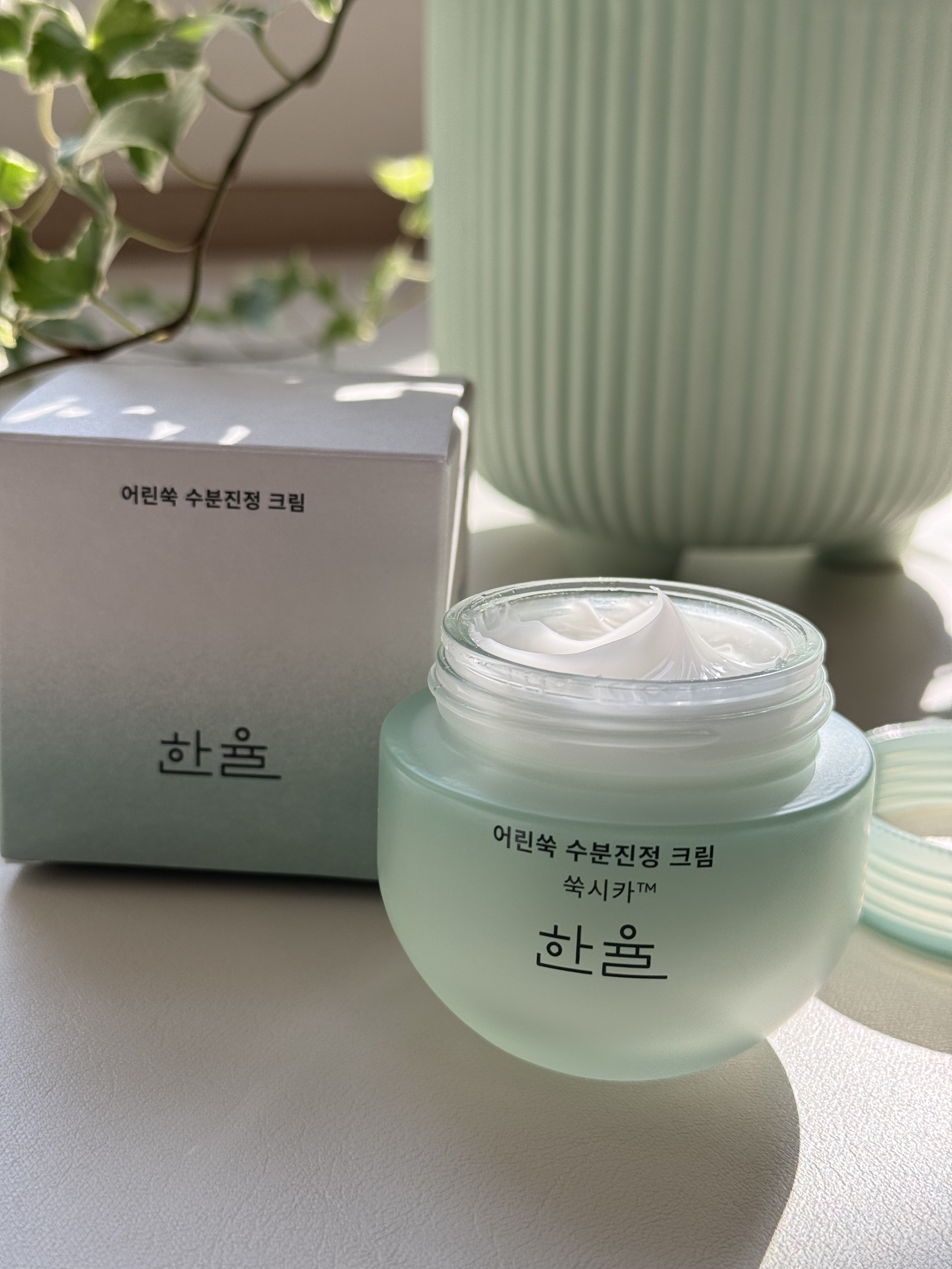 ピュアアルテミシア カーミングウォータークリーム/HANYUL(ハンユル)/フェイスクリームを使ったクチコミ（2枚目）