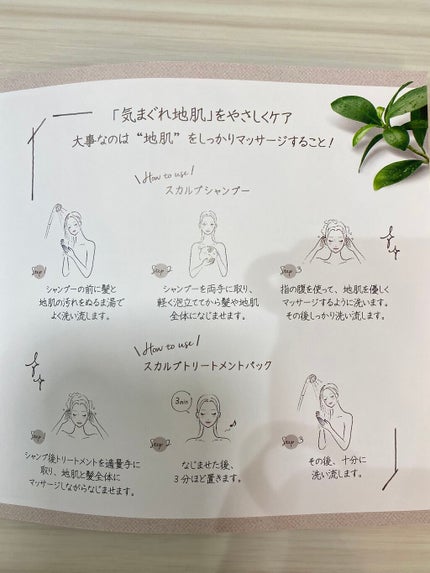 スカルプD ボーテ ナチュラスター スカルプシャンプー/トリートメントパック/アンファー(スカルプD)/シャンプー・コンディショナーを使ったクチコミ(8枚目)