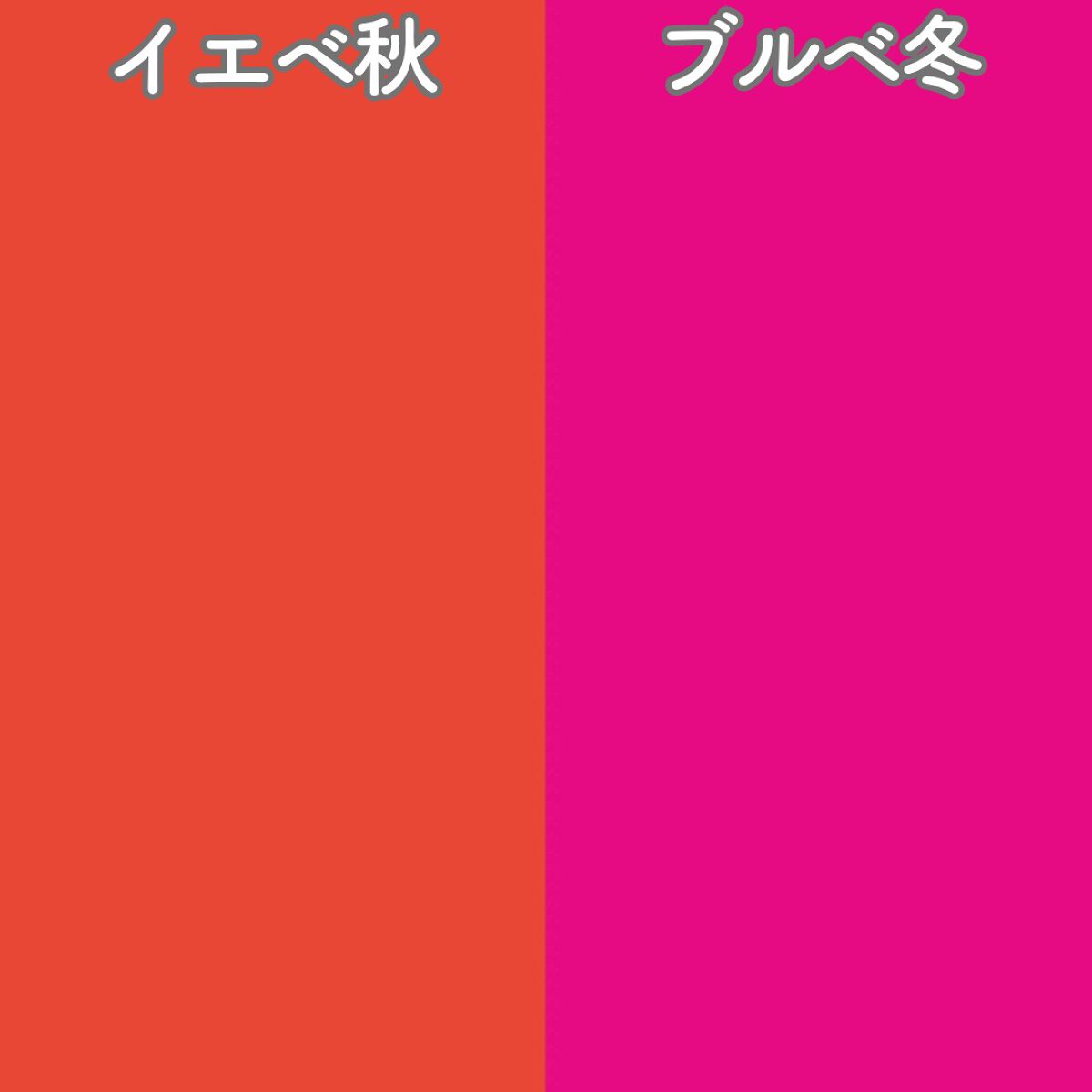 パーソナルカラー診断/Visée/その他を使ったクチコミ(5枚目)
