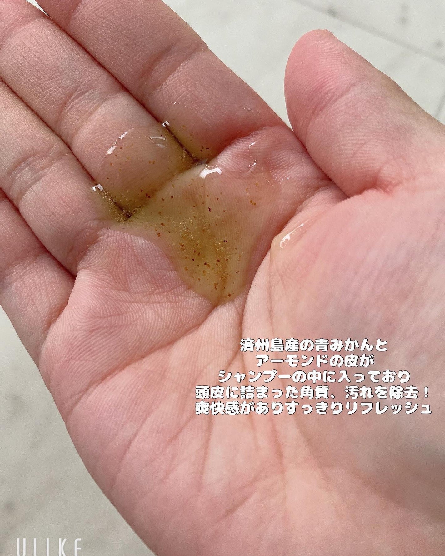 ライムサンデー リフレッシュシャンプー/ANILLO/市販シャンプーを使ったクチコミ(3枚目)